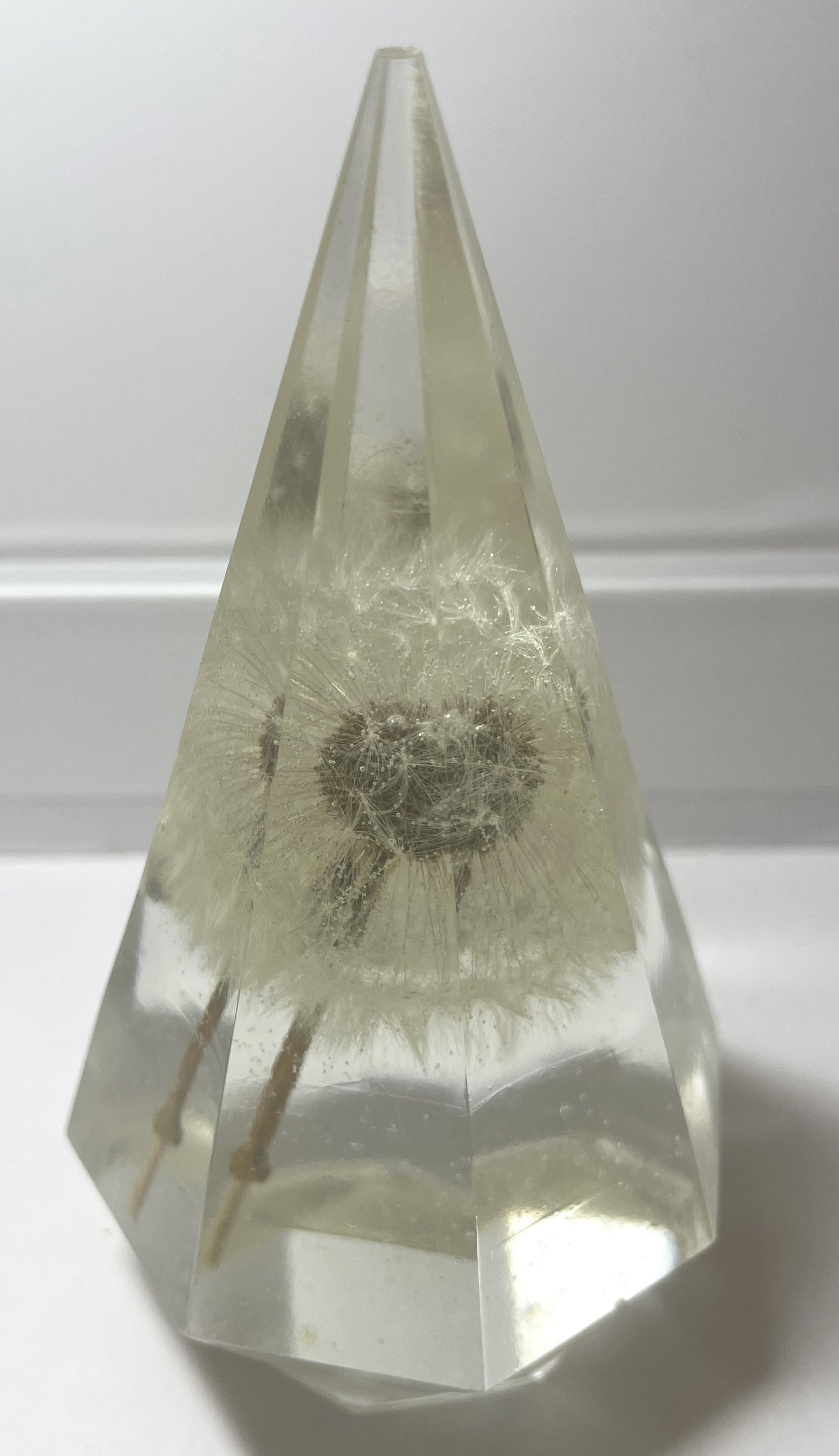 Ring Holder- Dandelion
