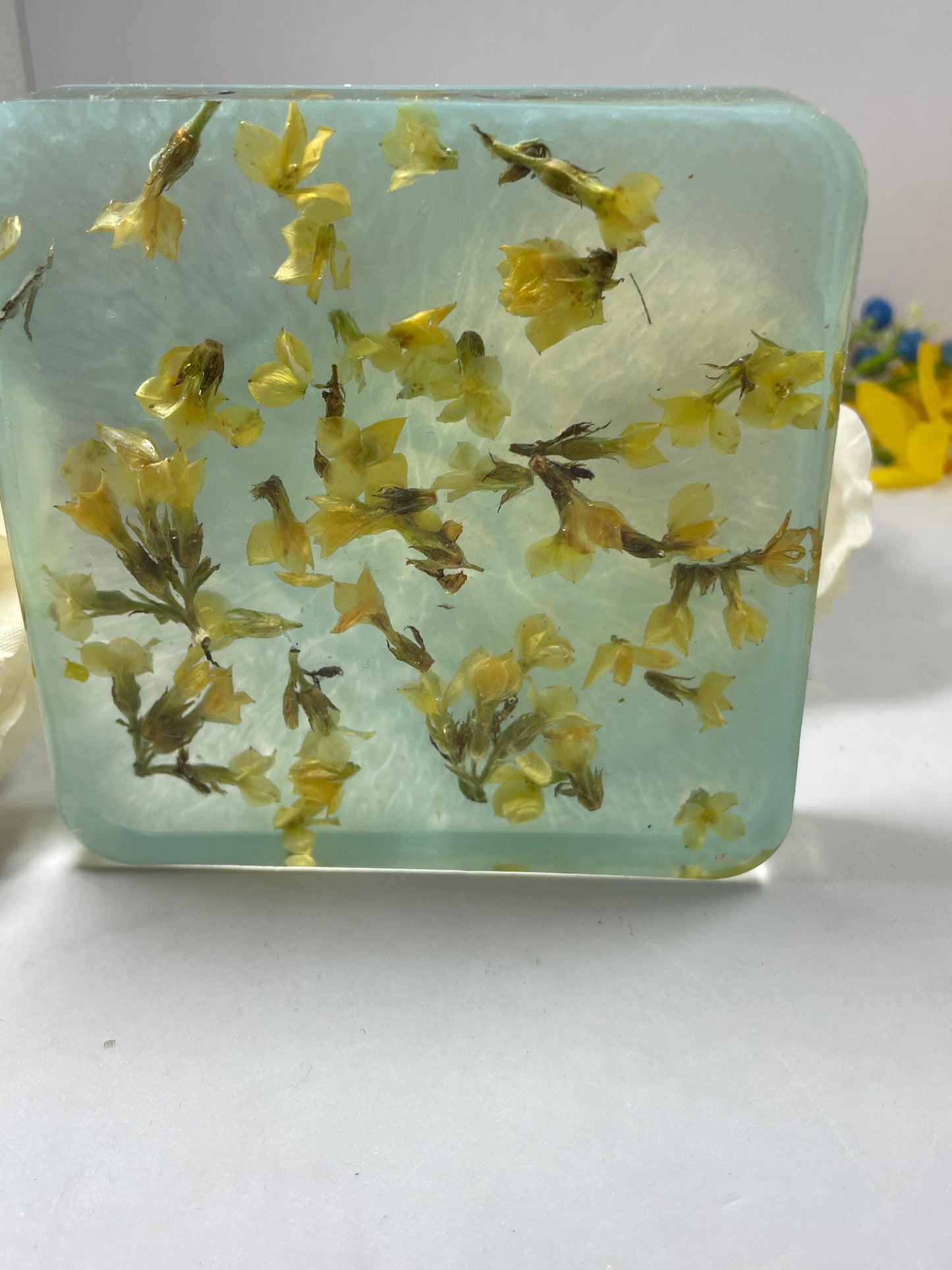 Coaster- Square Shaped Pressed Yellow Flowers with Green Background