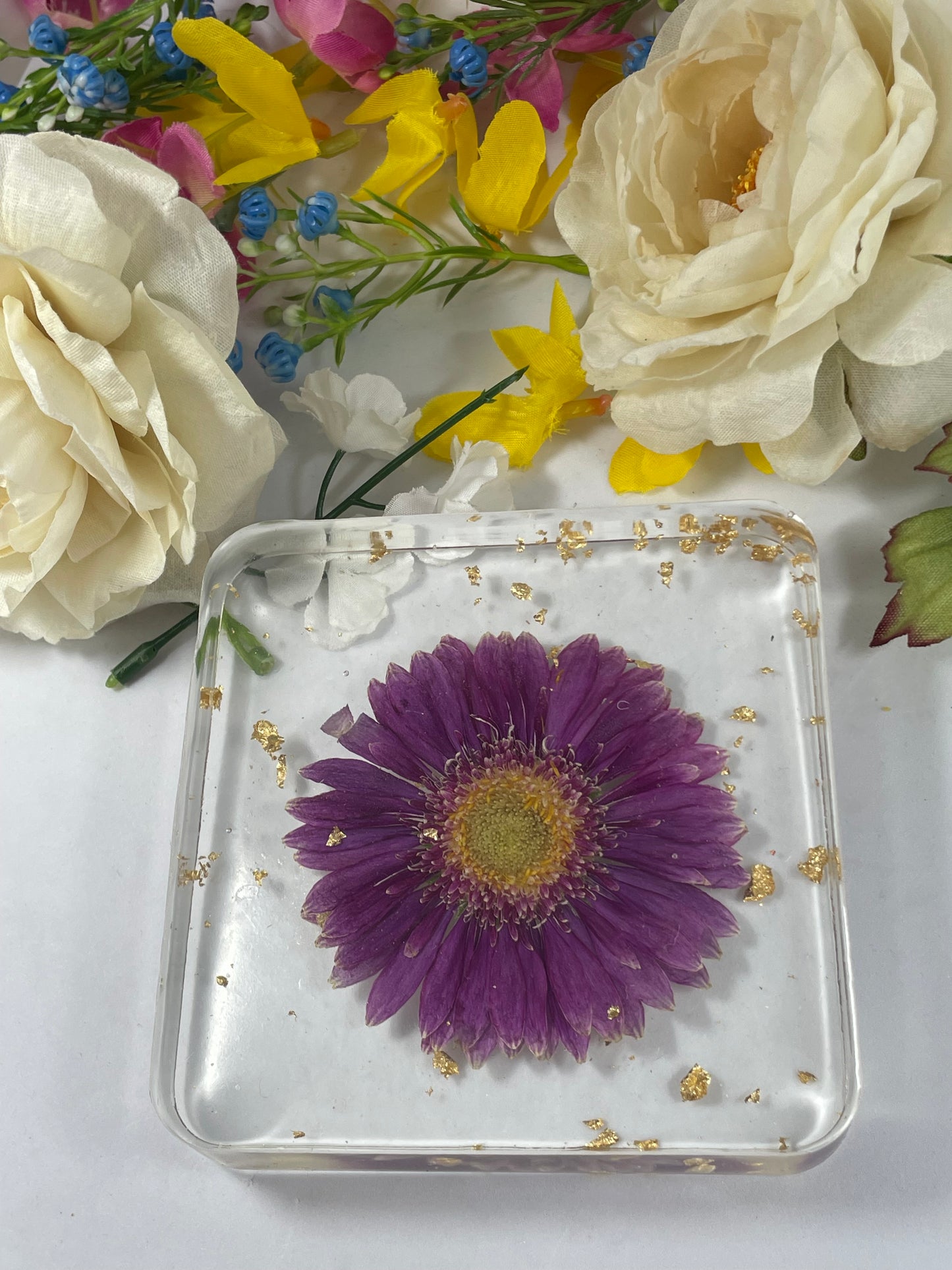 Coaster- Square Shaped Pressed Purple Gerbera Flower and Gold Foil