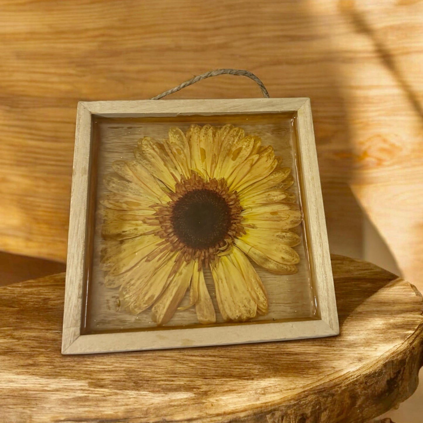 Decorative Floral Frame-Yellow Gerber Daisy