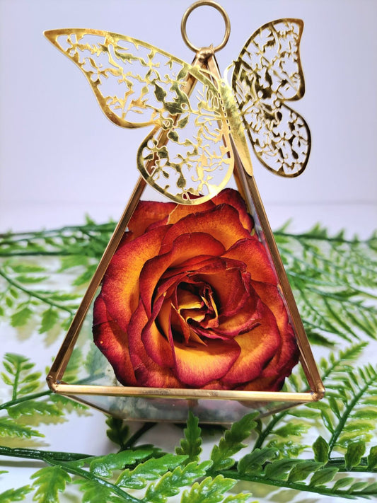 Decorative Floral Prism -Preserved Orange Rose