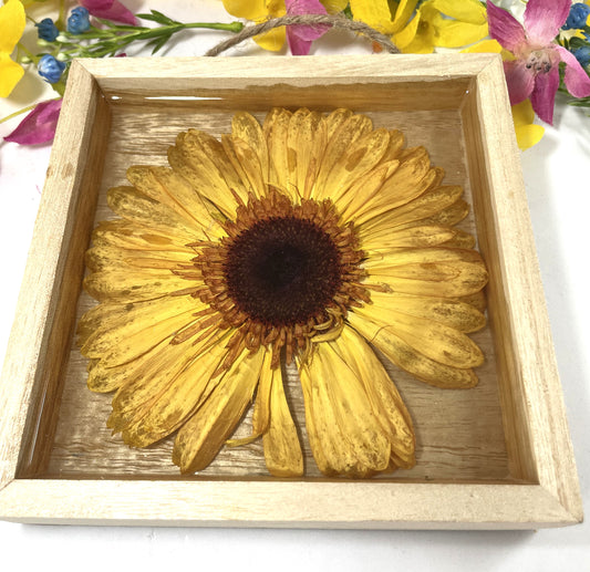 Decorative Floral Frame-Yellow Gerber Daisy